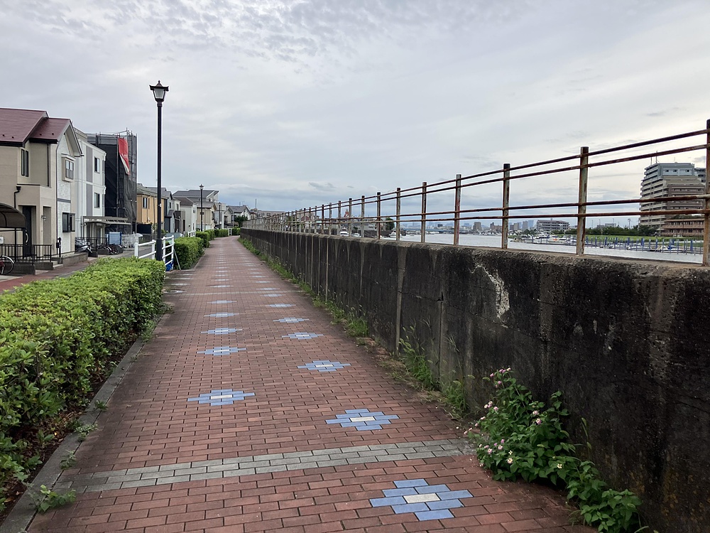 妙典駅から江戸川新川を通って乙女湯温泉への写真10