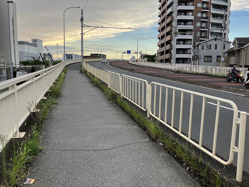 妙典駅から江戸川新川を通って乙女湯温泉への写真12