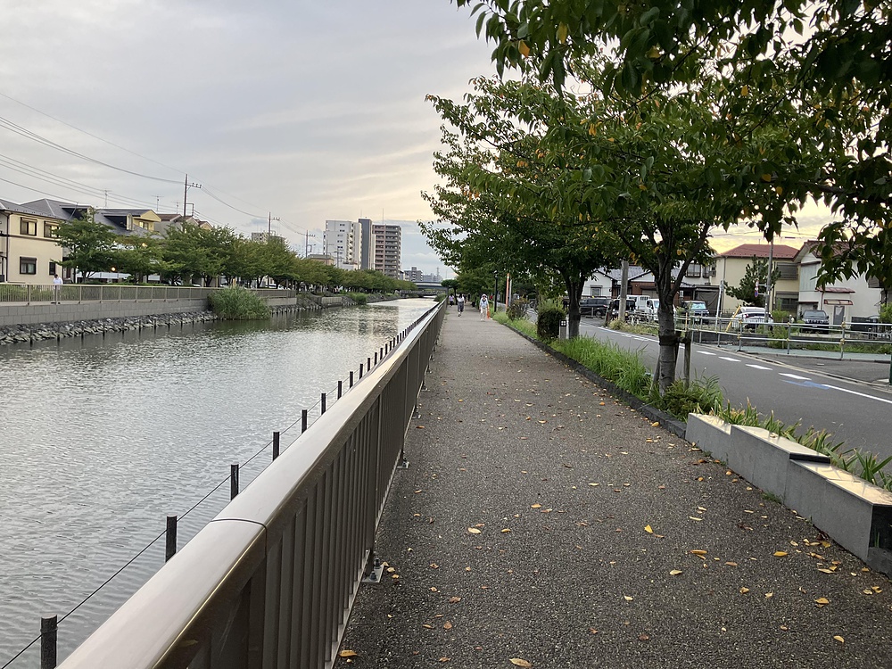 妙典駅から江戸川新川を通って乙女湯温泉への写真18