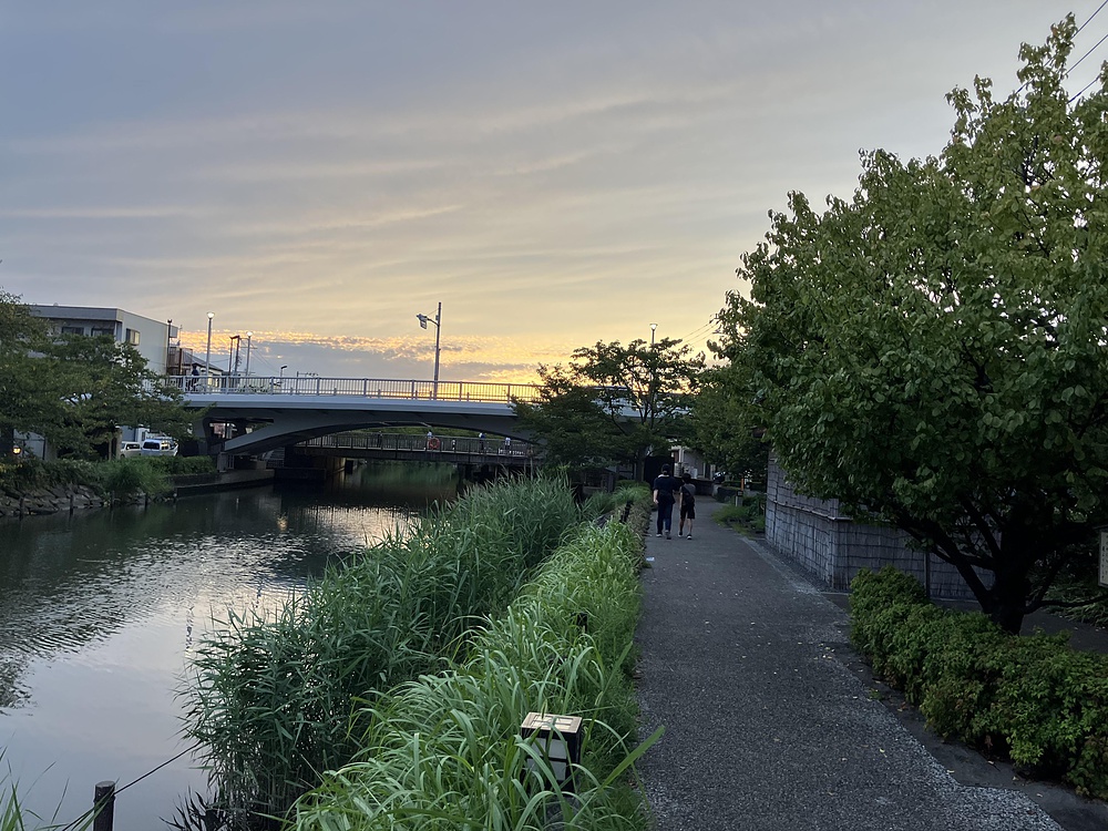 妙典駅から江戸川新川を通って乙女湯温泉への写真19