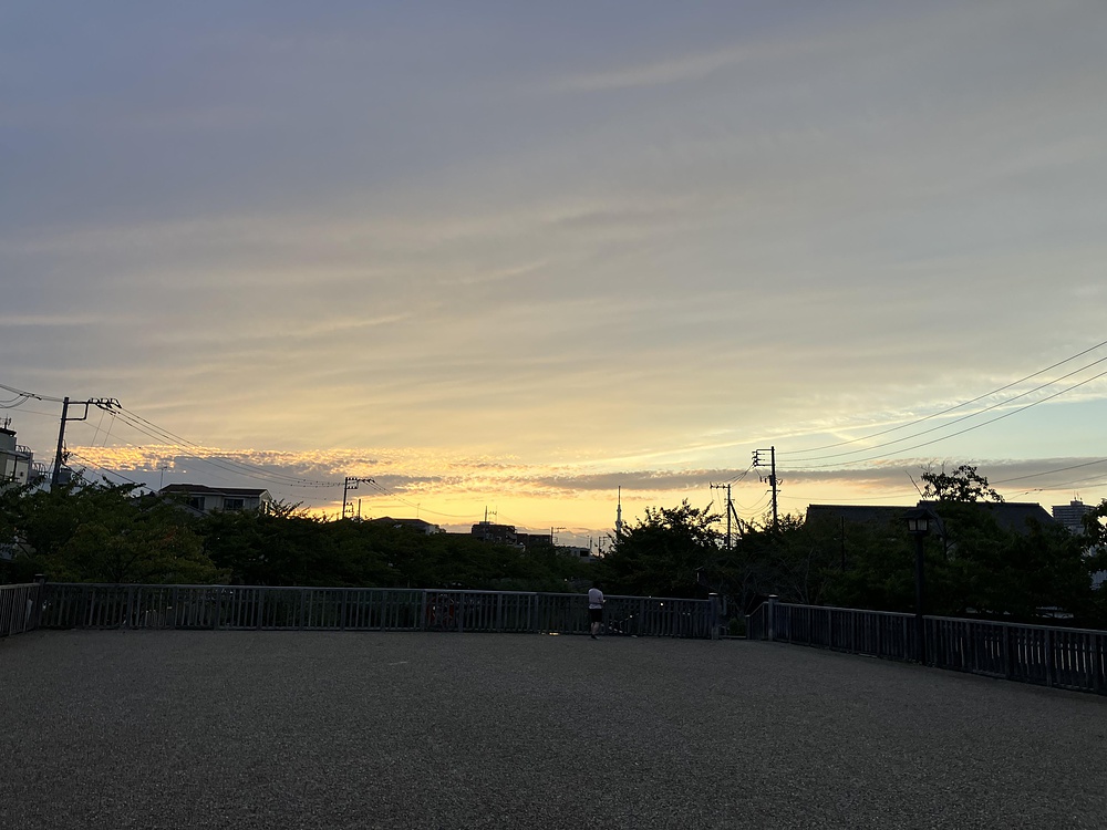 妙典駅から江戸川新川を通って乙女湯温泉への写真20