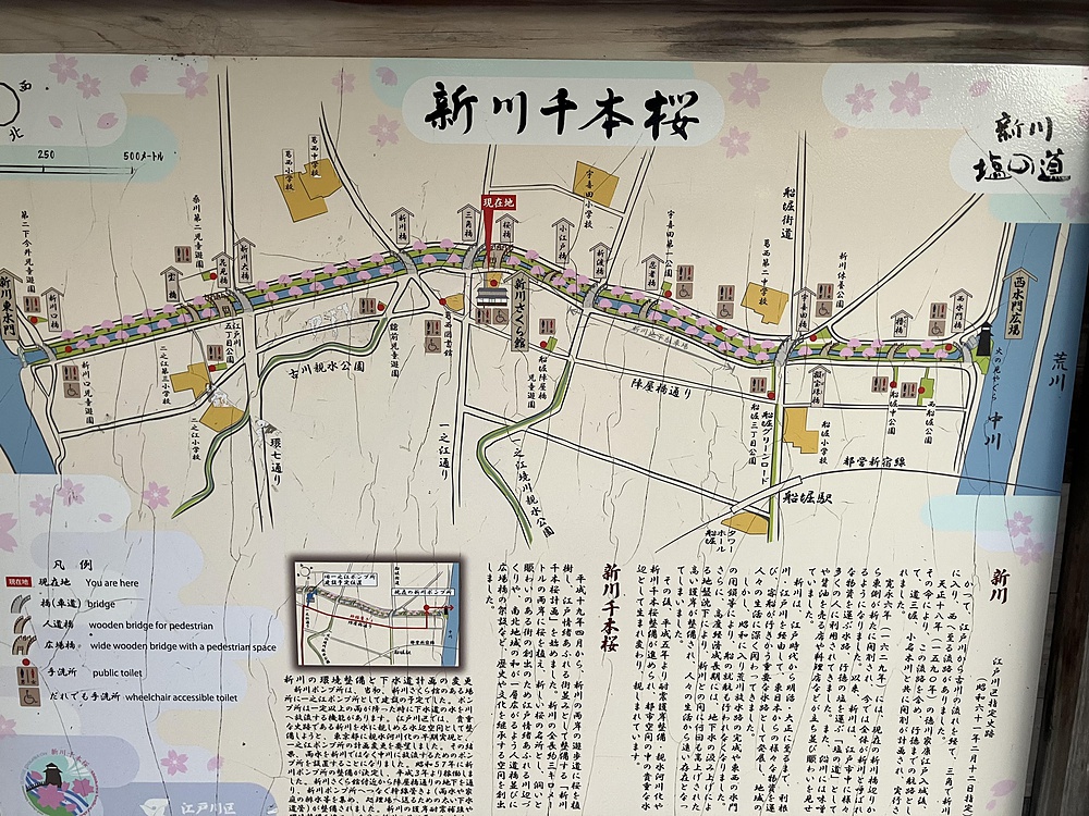 妙典駅から江戸川新川を通って乙女湯温泉への写真21