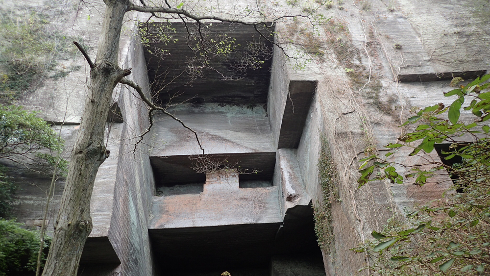 変化に富んだコースを楽しむ鋸山19kmの写真5