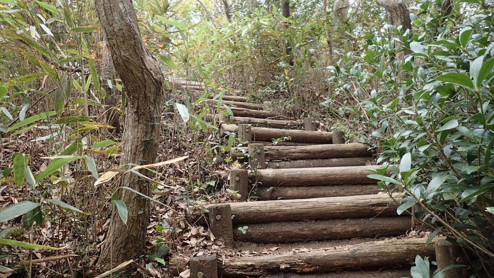 変化に富んだコースを楽しむ鋸山19kmの写真6