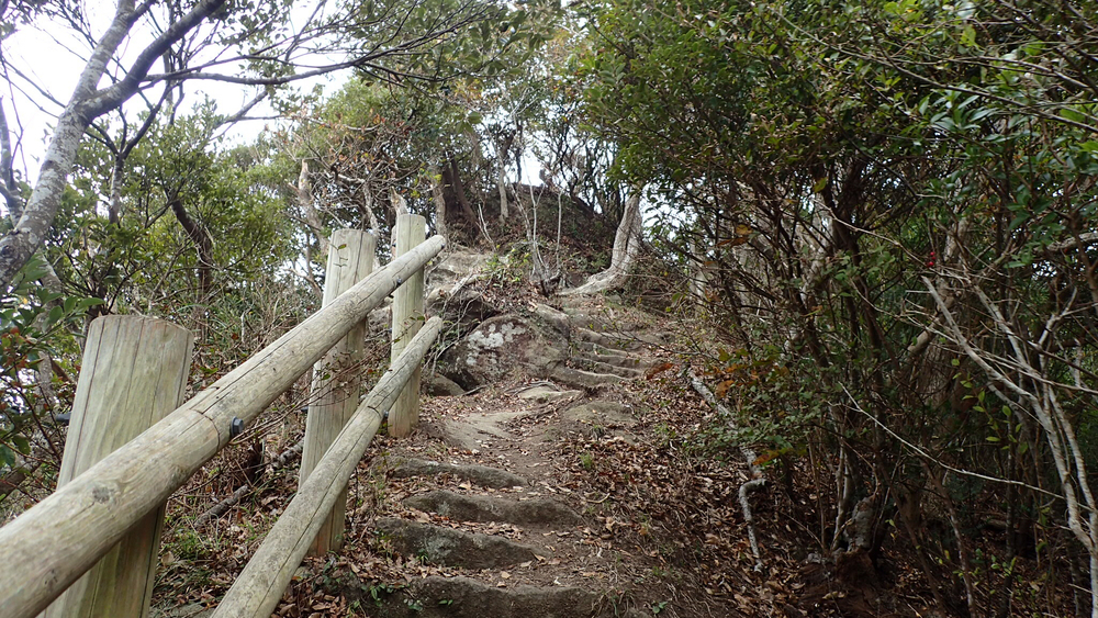 変化に富んだコースを楽しむ鋸山19kmの写真7