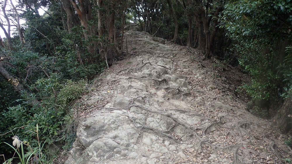 変化に富んだコースを楽しむ鋸山19kmの写真9