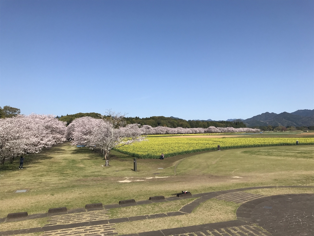 古代ロマンの風吹く！西都原古墳群ランニング！の写真9