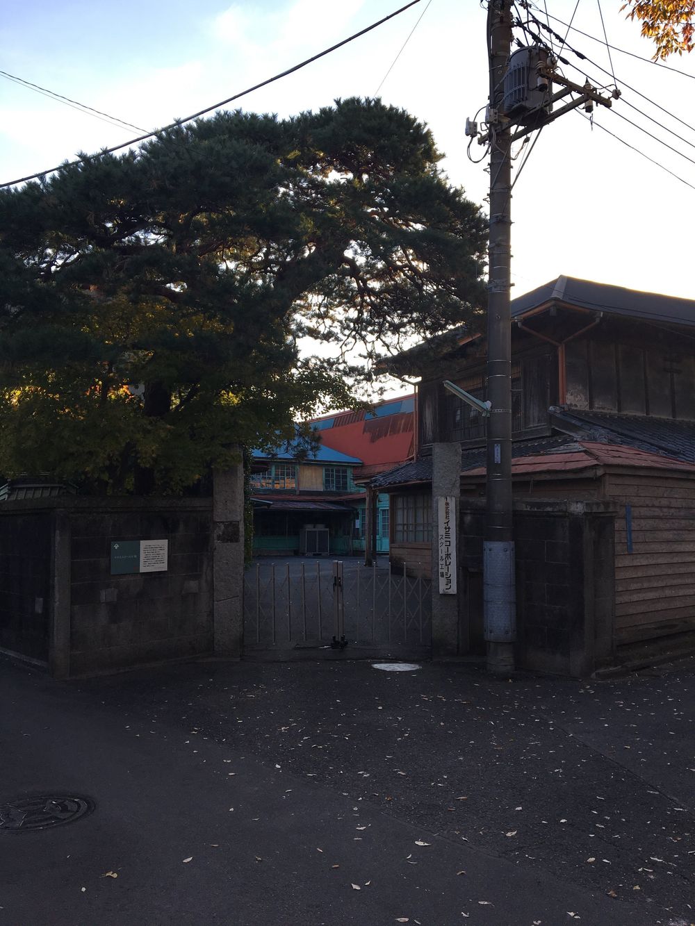 俺の陸王杯 行田ハーフマラソンの写真3