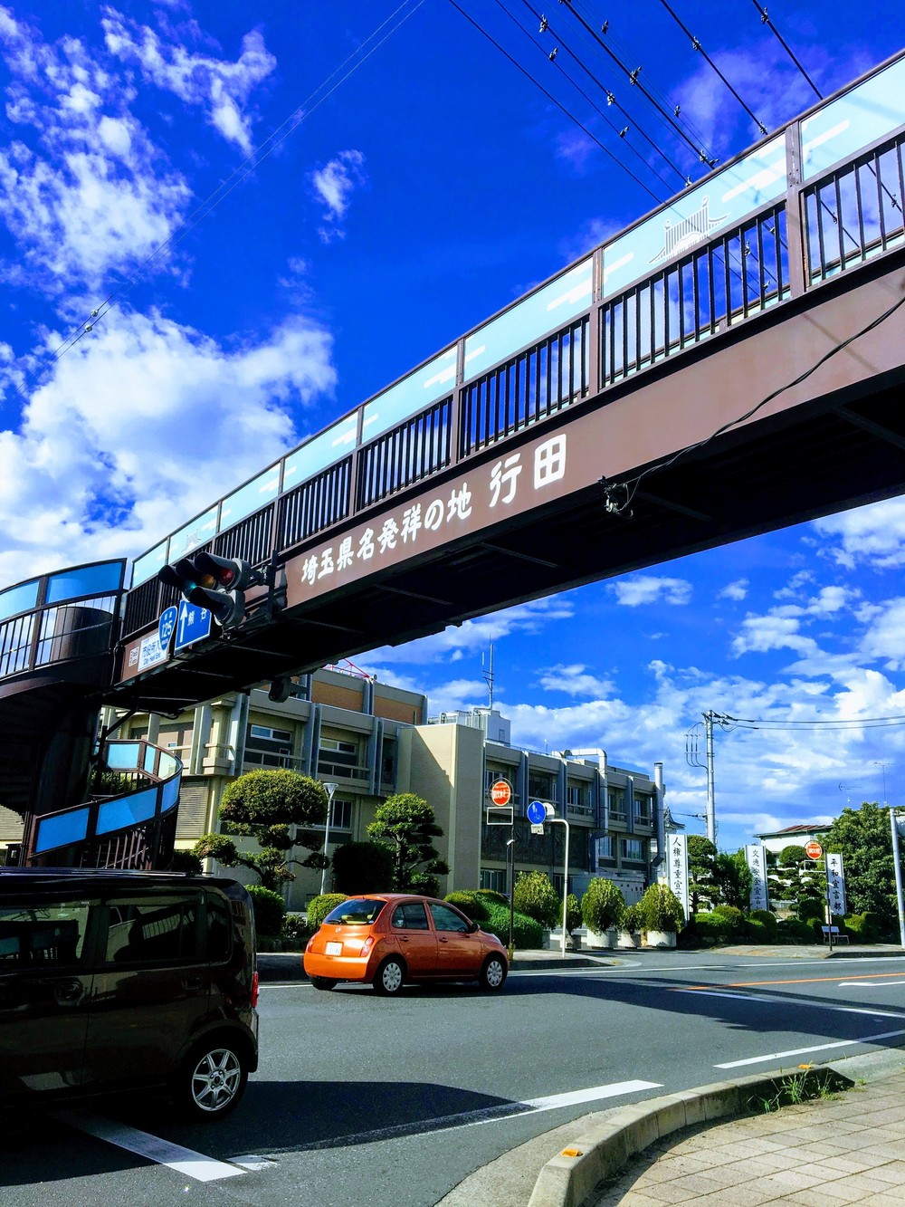 俺の陸王杯 行田ハーフマラソンの写真6