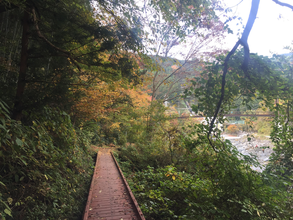 The 奥多摩ラン (マイベストコース)の写真4