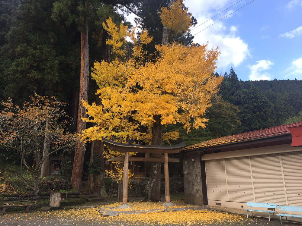 The 奥多摩ラン (マイベストコース)の写真5