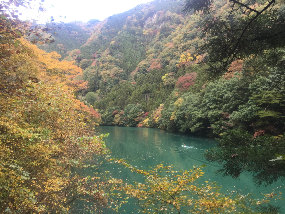 The 奥多摩ラン (マイベストコース)の写真6