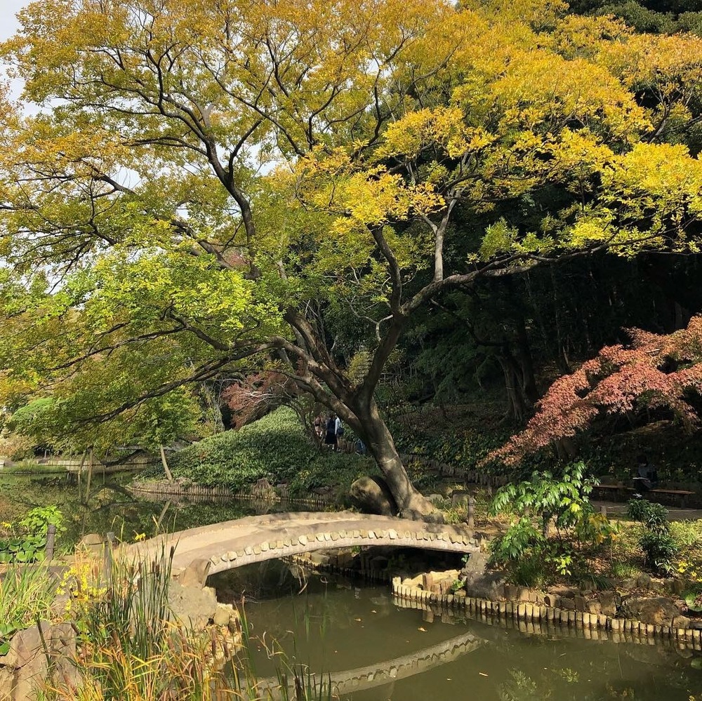 ほぼ文京区外周コース(寄り道で上野公園w)の写真3