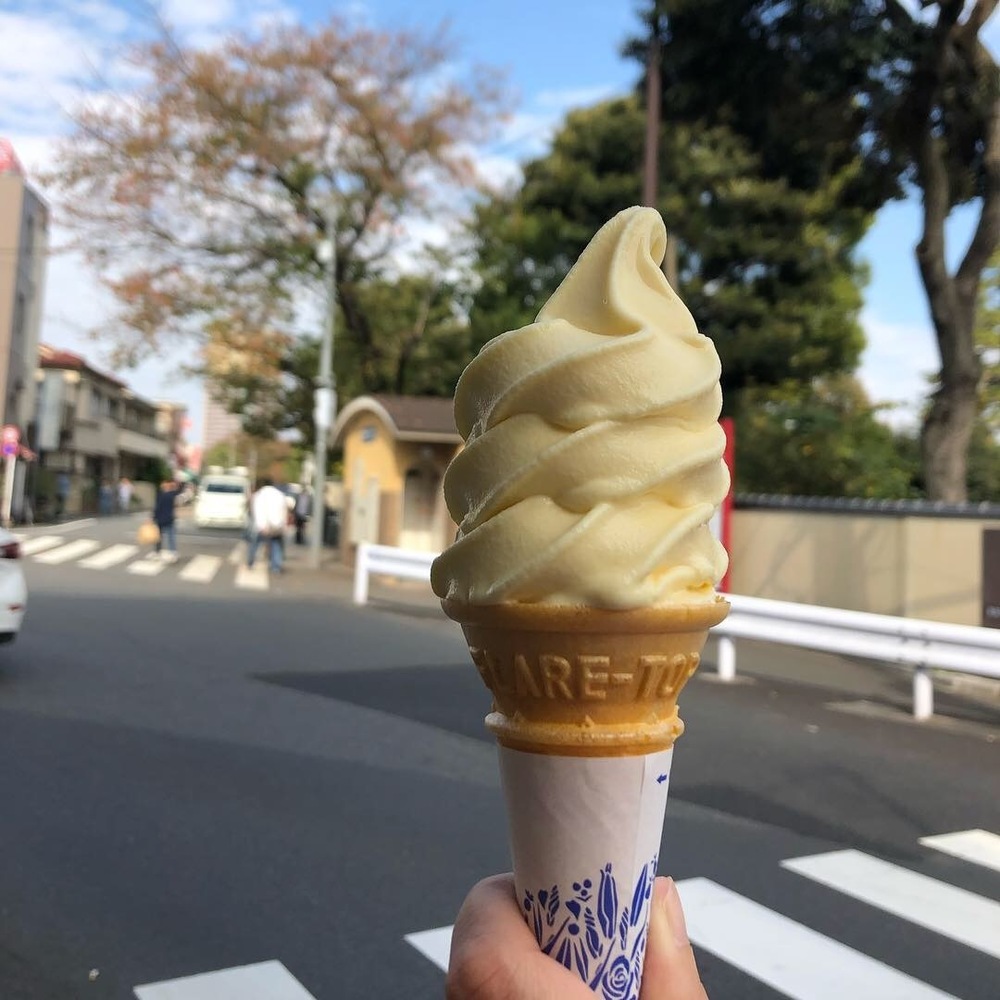 ほぼ文京区外周コース(寄り道で上野公園w)の写真8