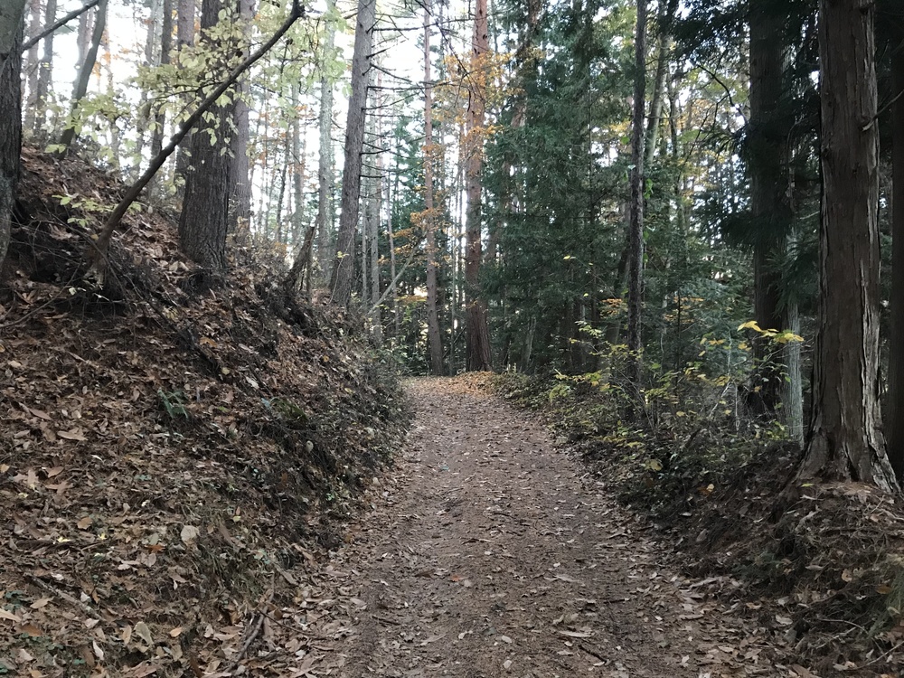 【松本市波田】若澤寺トレイルの写真4