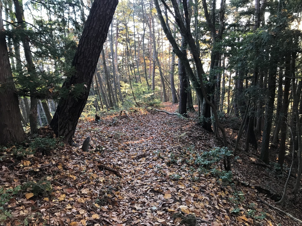 【松本市波田】若澤寺トレイルの写真6