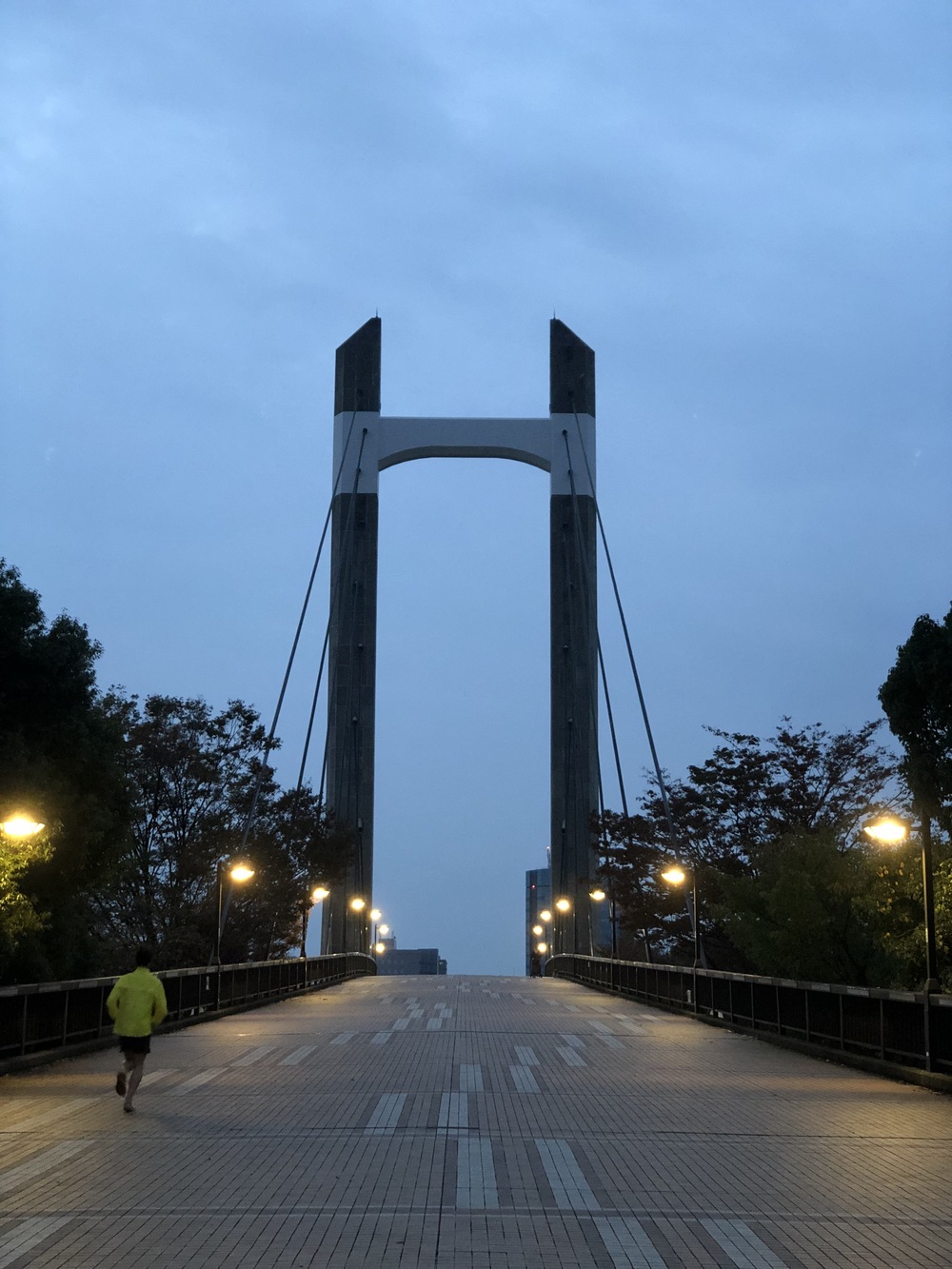 たくさんの橋を越えての写真3