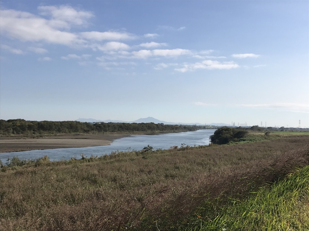 権現堂川、利根川、中川の川沿いを気持ちよくハーフ！の写真5