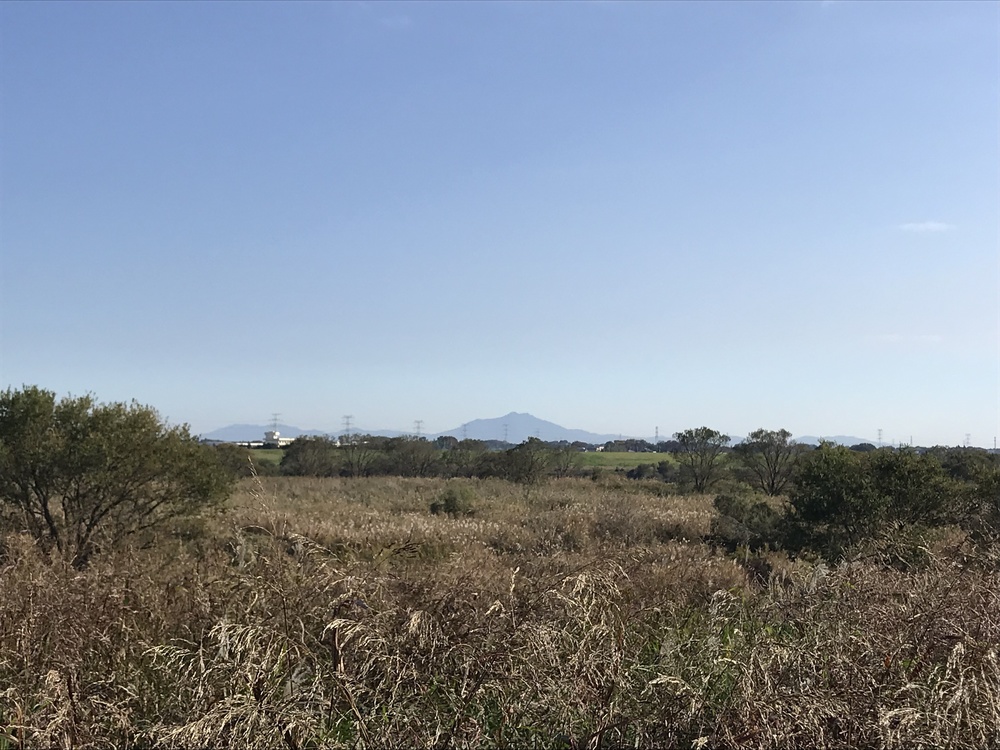 権現堂川、利根川、中川の川沿いを気持ちよくハーフ！の写真6