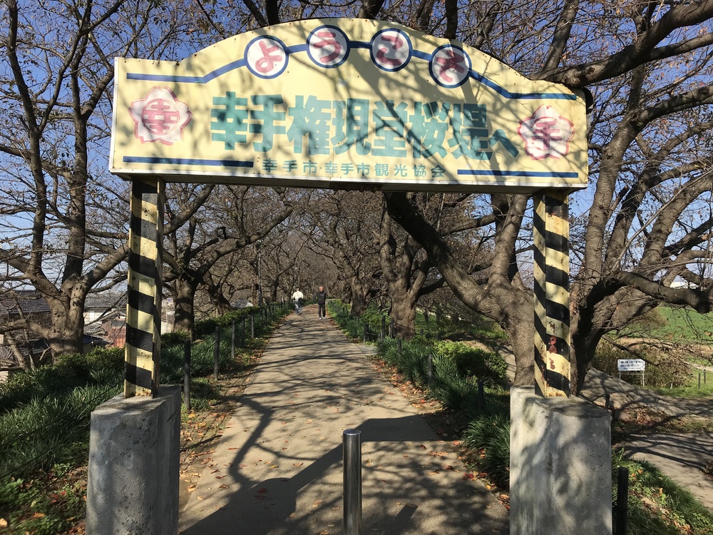 権現堂川、利根川、中川の川沿いを気持ちよくハーフ！の写真7