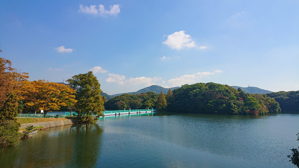 響灘緑地から脇田ビーチへRuntripの写真3