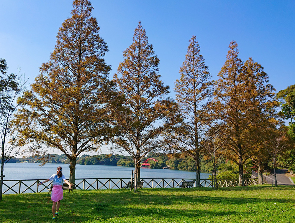 響灘緑地から脇田ビーチへRuntripの写真5