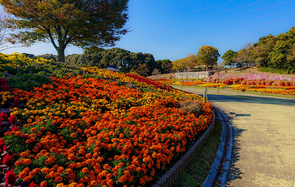 響灘緑地から脇田ビーチへRuntripの写真6