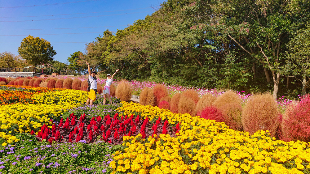 響灘緑地から脇田ビーチへRuntripの写真7