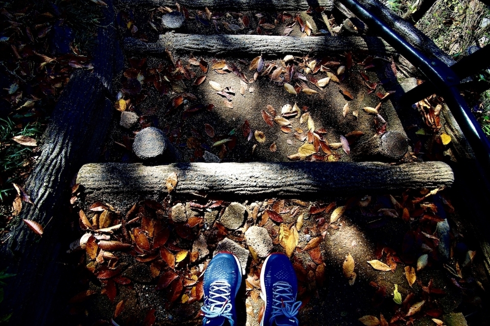 紅葉の高津戸峡と遊歩道の写真5