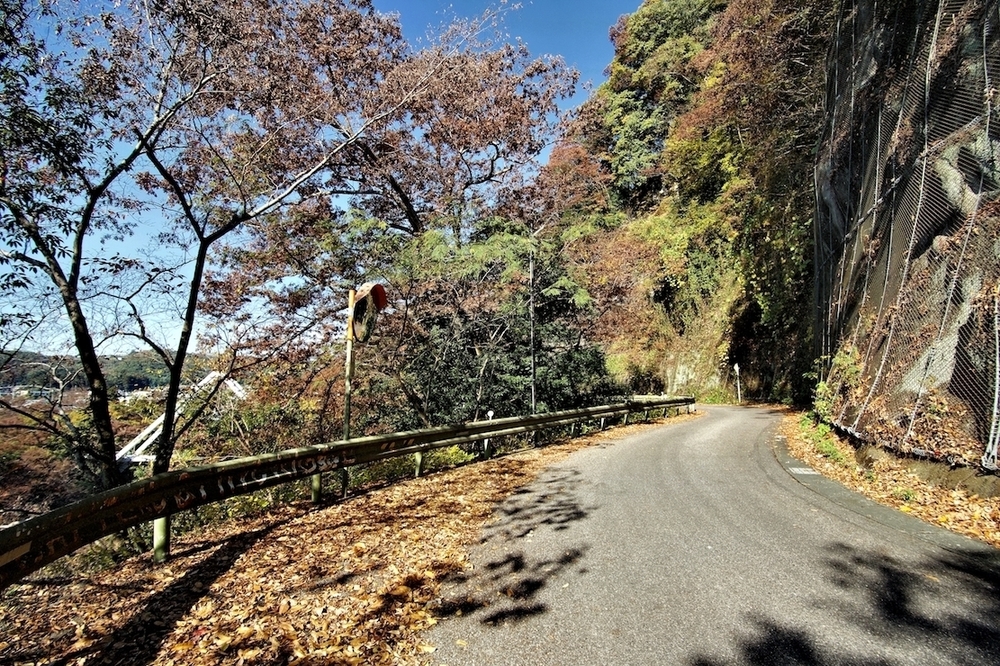 紅葉の高津戸峡と遊歩道の写真8