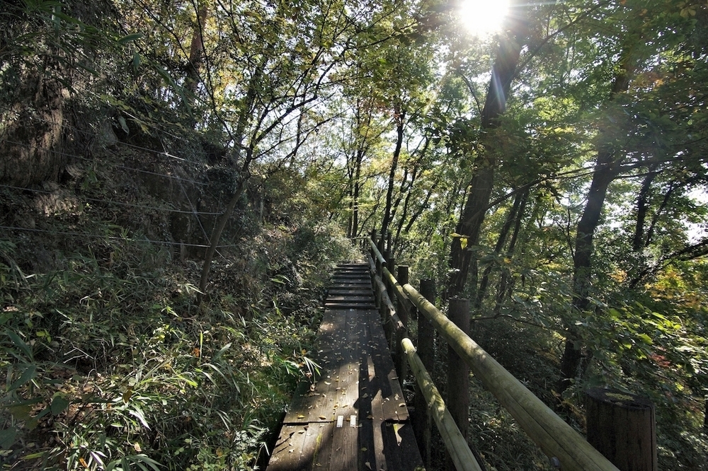 紅葉の高津戸峡と遊歩道の写真9