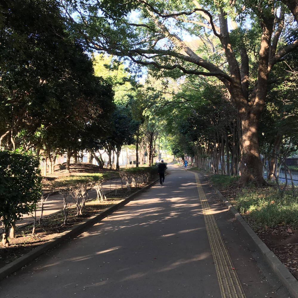 公園内なので安全にランニングの写真3