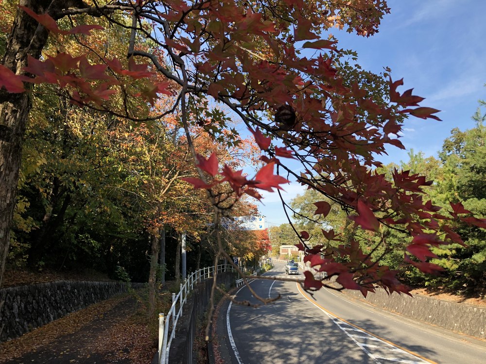 地下鉄で行けるプチトレイル：東山＆平和公園一万歩コース10kmの写真3