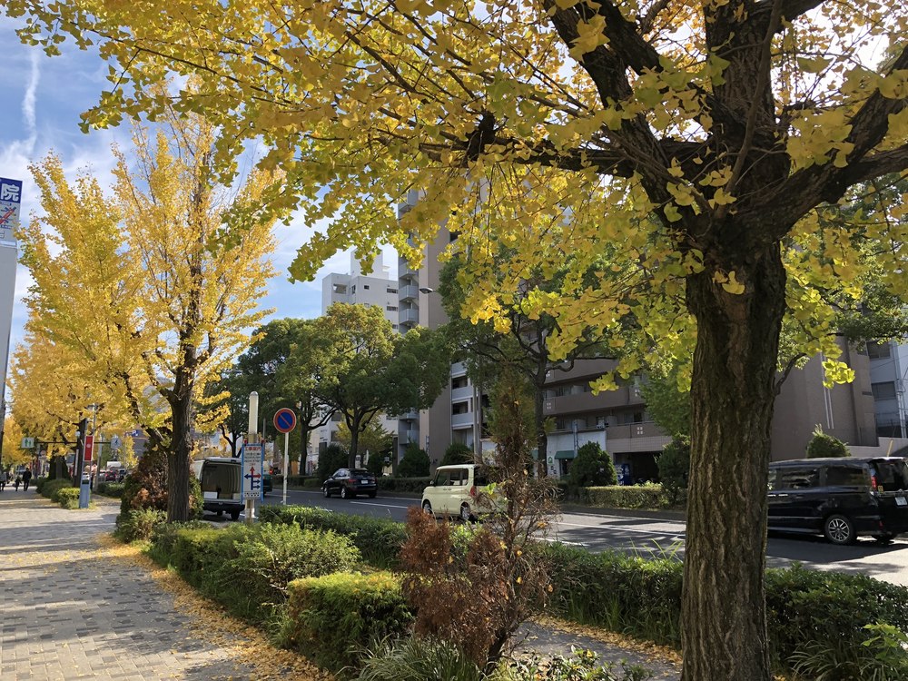 地下鉄で行けるプチトレイル：東山＆平和公園一万歩コース10kmの写真5