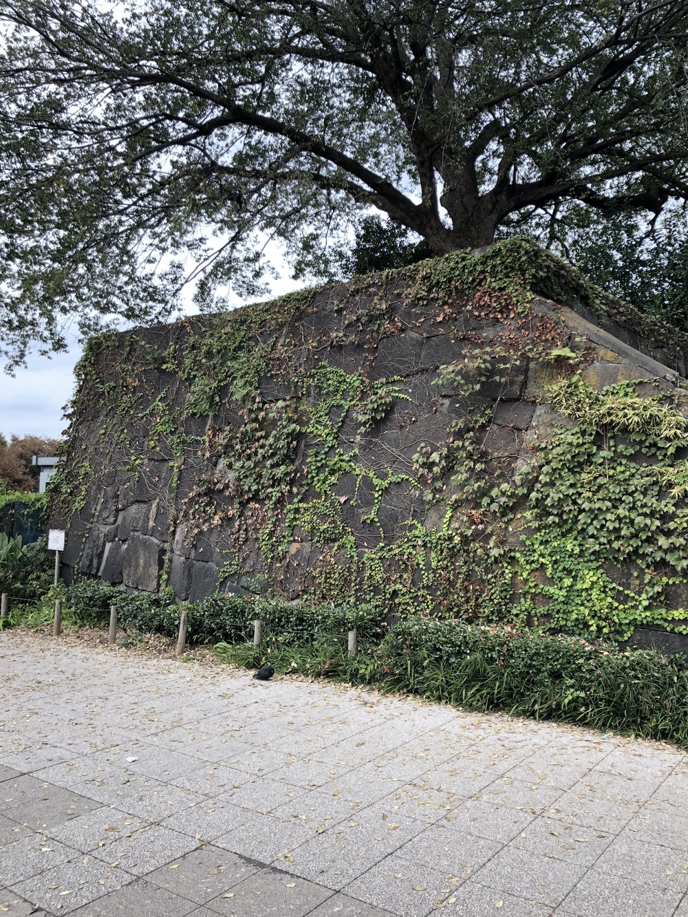 江戸城外堀１周コースの写真7