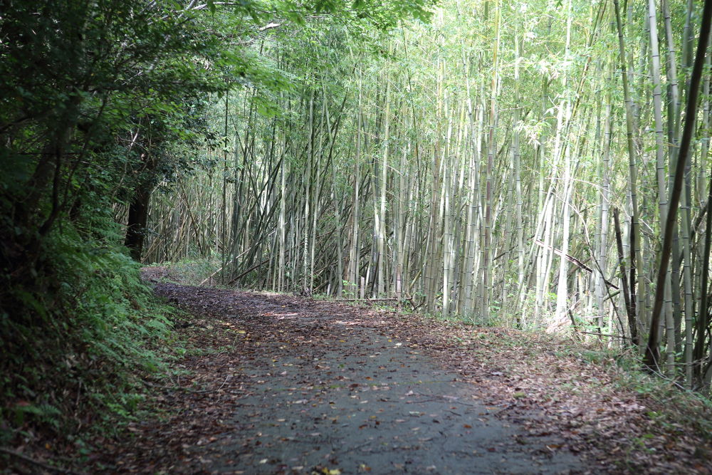 宮城県石巻市の猫島「田代島」の写真3