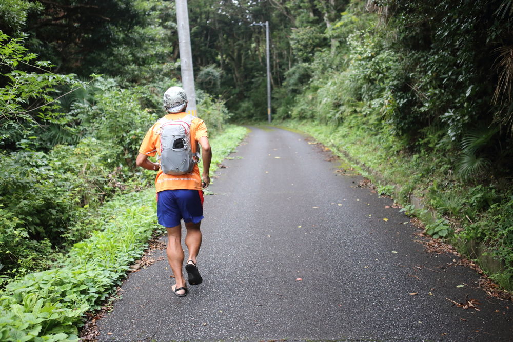 宮城県石巻市の猫島「田代島」の写真6