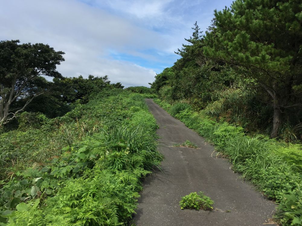 宮城県石巻市の猫島「田代島」の写真9