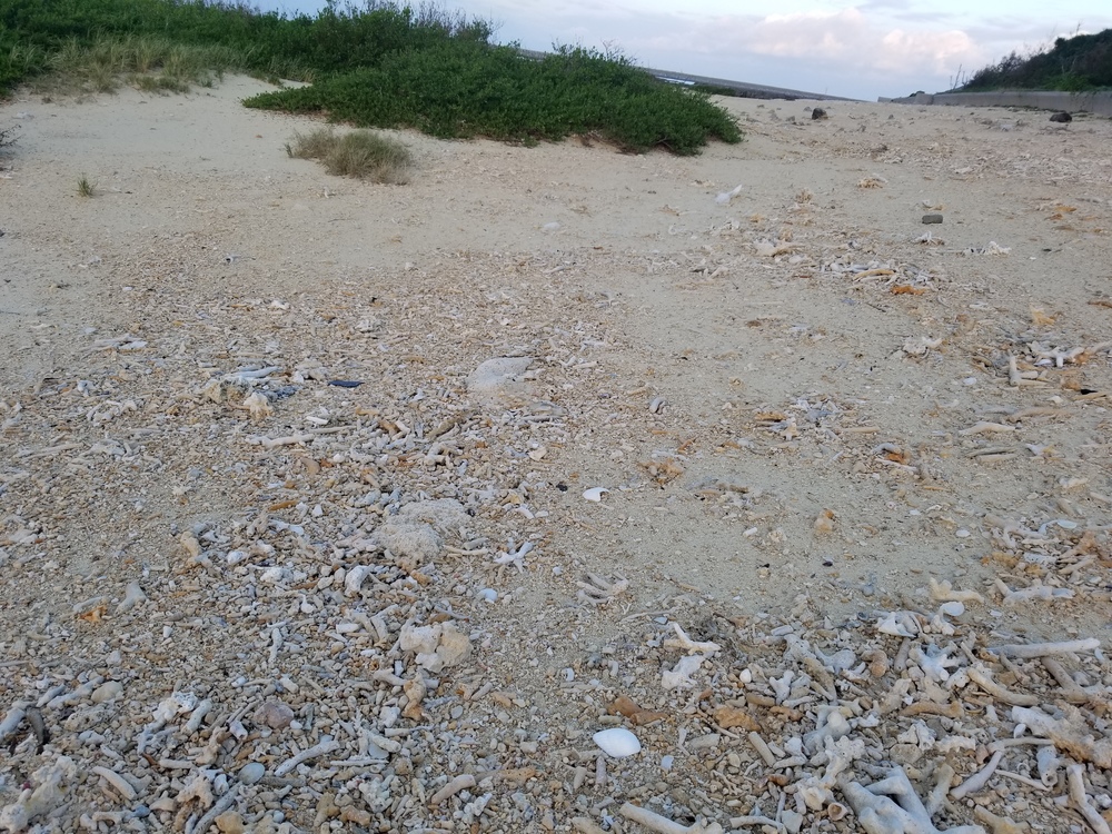 久米島(沖縄)シンリ浜で、ビーチ＆空港ランの写真5