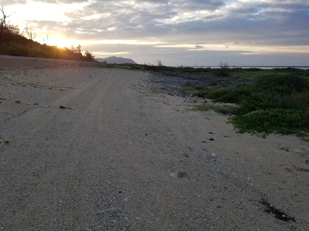 久米島(沖縄)シンリ浜で、ビーチ＆空港ランの写真7