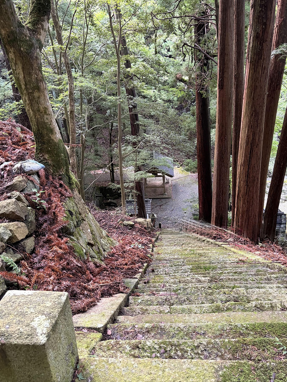 歌川広重と共にRUN 岩屋山観音堂の写真7