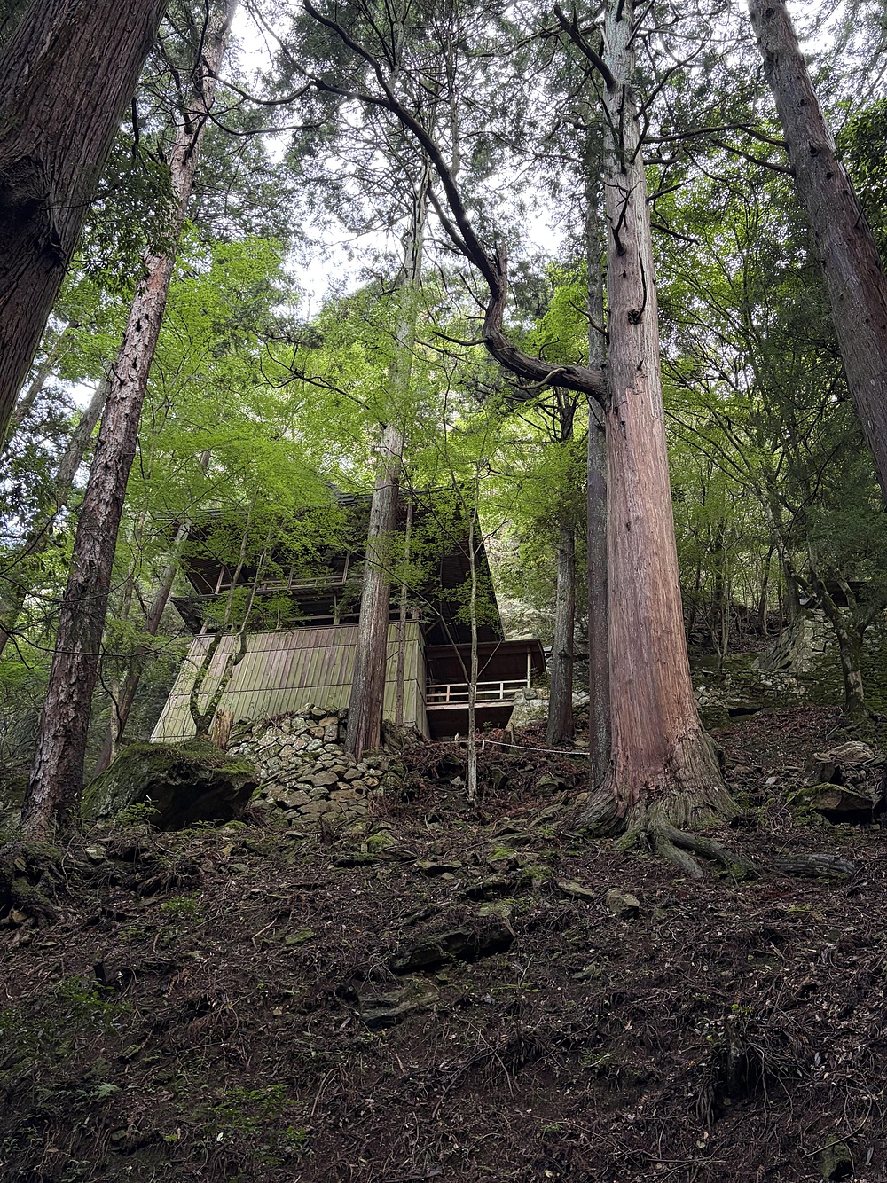 歌川広重と共にRUN 岩屋山観音堂の写真10