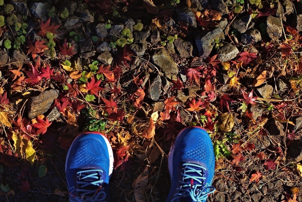 めがね橋とトンネルで歴史と紅葉を感じる「アプトの道」の写真4