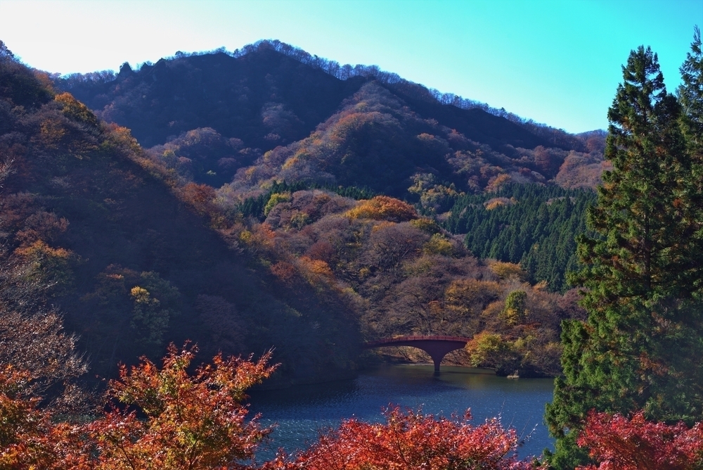 めがね橋とトンネルで歴史と紅葉を感じる「アプトの道」の写真5