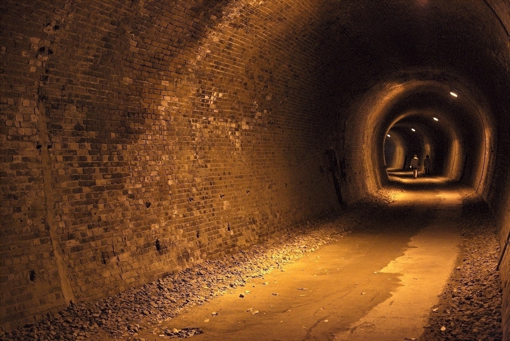 めがね橋とトンネルで歴史と紅葉を感じる「アプトの道」の写真7