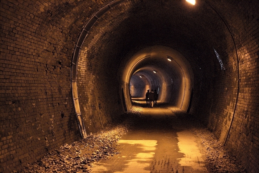 めがね橋とトンネルで歴史と紅葉を感じる「アプトの道」の写真8