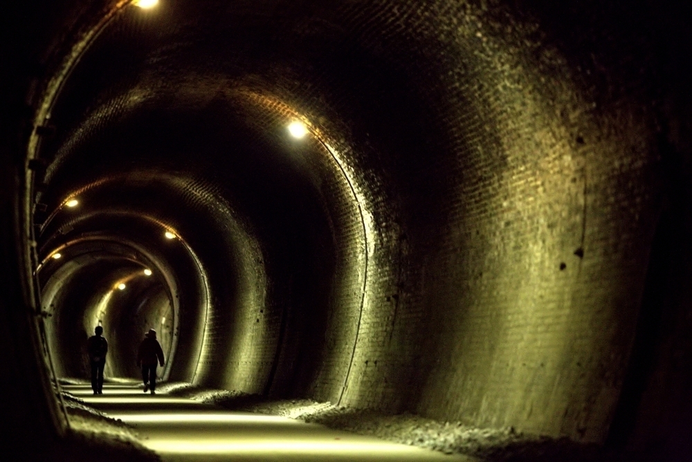 めがね橋とトンネルで歴史と紅葉を感じる「アプトの道」の写真11