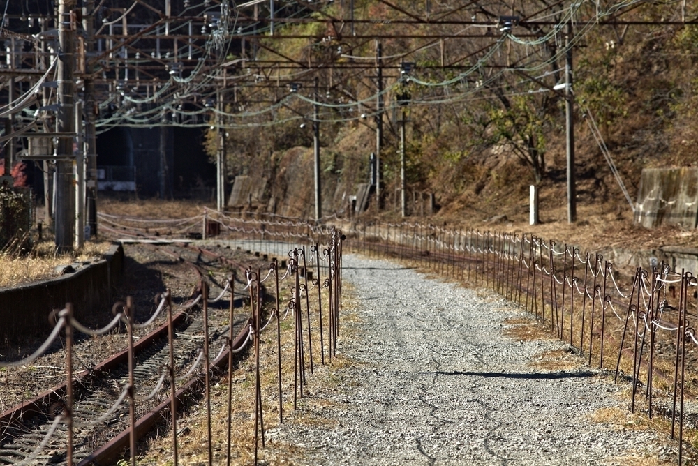 めがね橋とトンネルで歴史と紅葉を感じる「アプトの道」の写真12