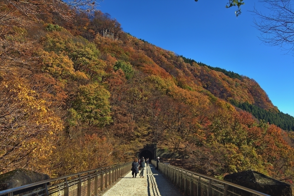 めがね橋とトンネルで歴史と紅葉を感じる「アプトの道」の写真13