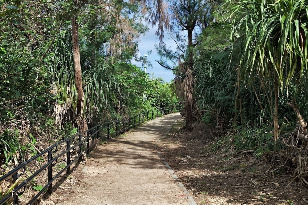 フラっと気軽にパイナガマビーチの写真4